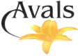 AVALS