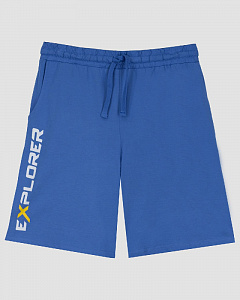 Шорты мужские